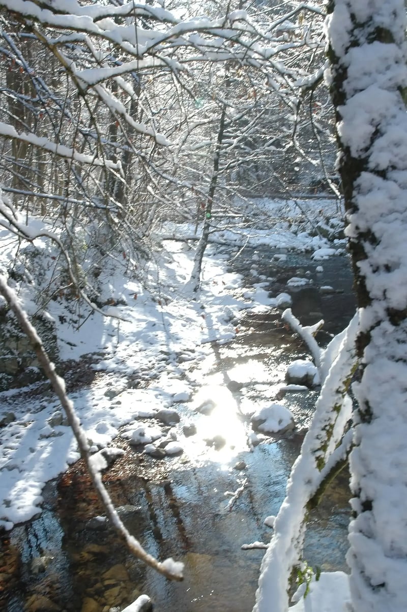 (C) Hammerschmiede DSC_7998 (1)