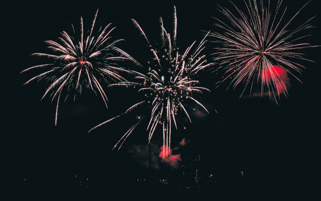 Erzfeind Feuerwerk: Vielen Tieren macht die Knallerei zu schaffen.