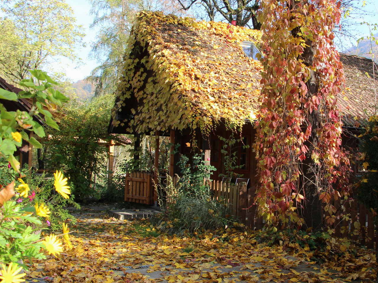 Gartenhaus im Herbst Naturidyll Hotel Steinschalerhof