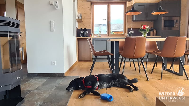 Hund Coffee entspannt im Chalettyp Landhaus 