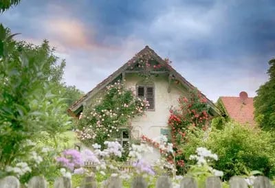 Außenaufnahme im Sommer vom Naturidyll Hotel Landhofmühle