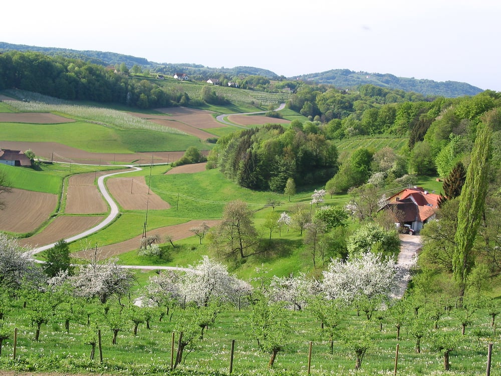 Landschaft im Südburgenland