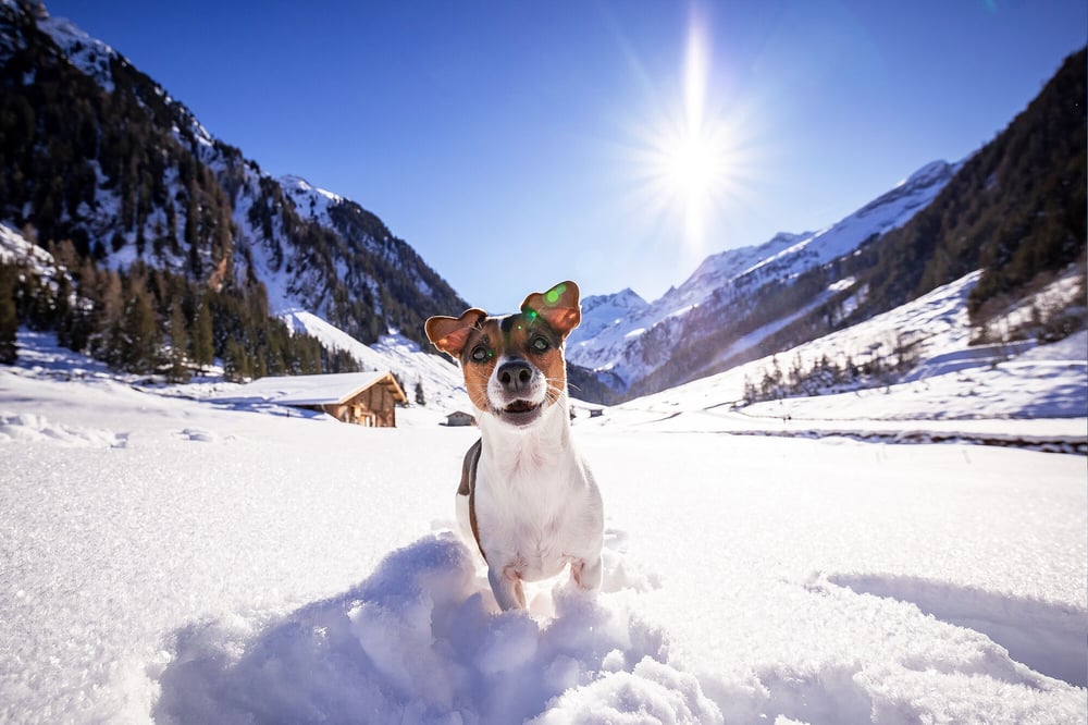 w2-015-hotel_magdalena-jaFein_HT