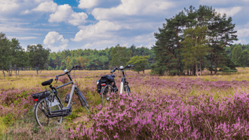 Blühende Fahrradtouren
