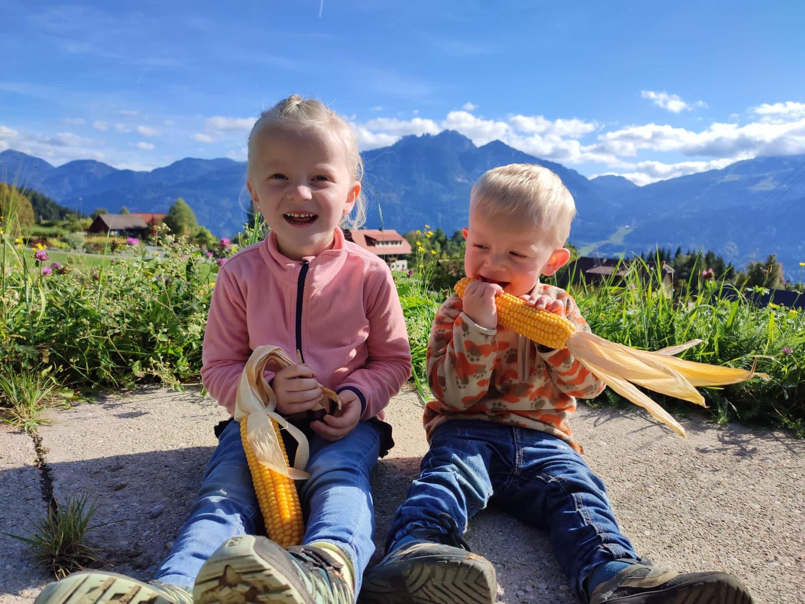 fabe0dee-8cb2-4e3d-a76a-684dd51f4c74