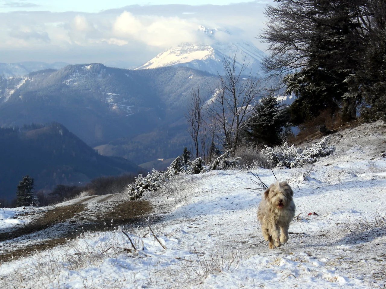Paula im Schnee 