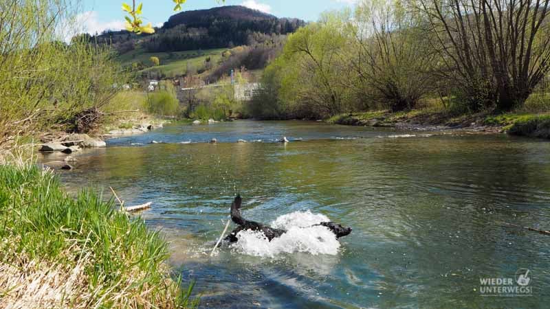 Naturidyll-Pielachtal-Steinschalerhof-web-165-von-323