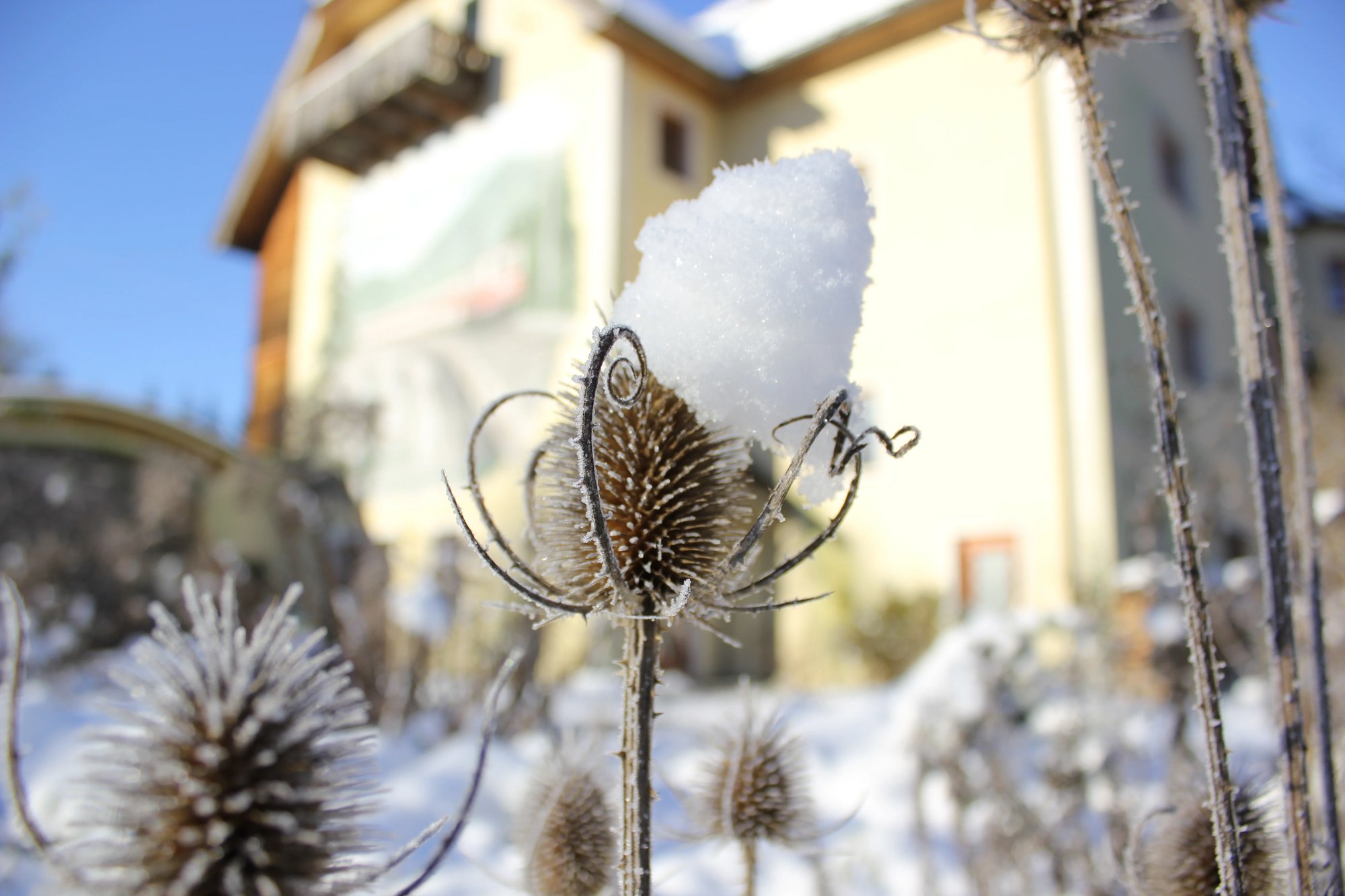 Naturidyll Hotel Steinschalerhof im Winter