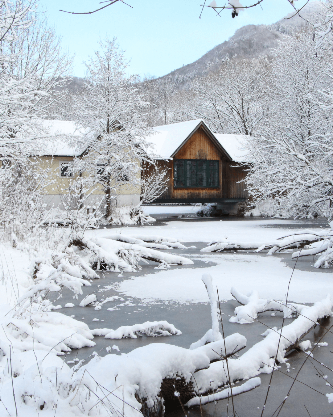 Winter