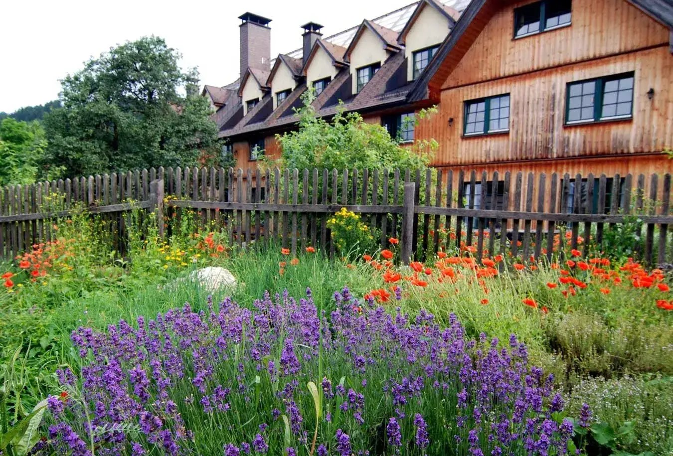 futureniederosterreich-steinschalerhof-c-steinschalerhof-1350-1