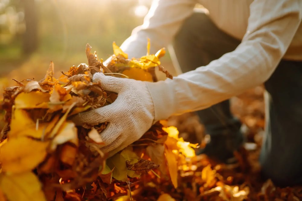 close-up-of-a-male-hand-raking-autumn-leaves-in-ga-2023-09-07-01-48-02-utc (1)