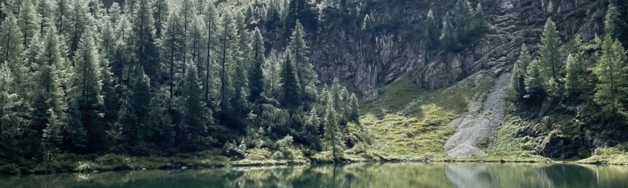 Wanderung-Tappenkarsee-Naturidyll-Hotels-©Anna-Poellabauer-7